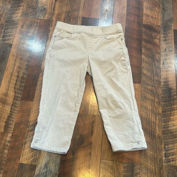 Gloria Vanderbilt Capri pants 10 (6010) - Picture 1 of 5